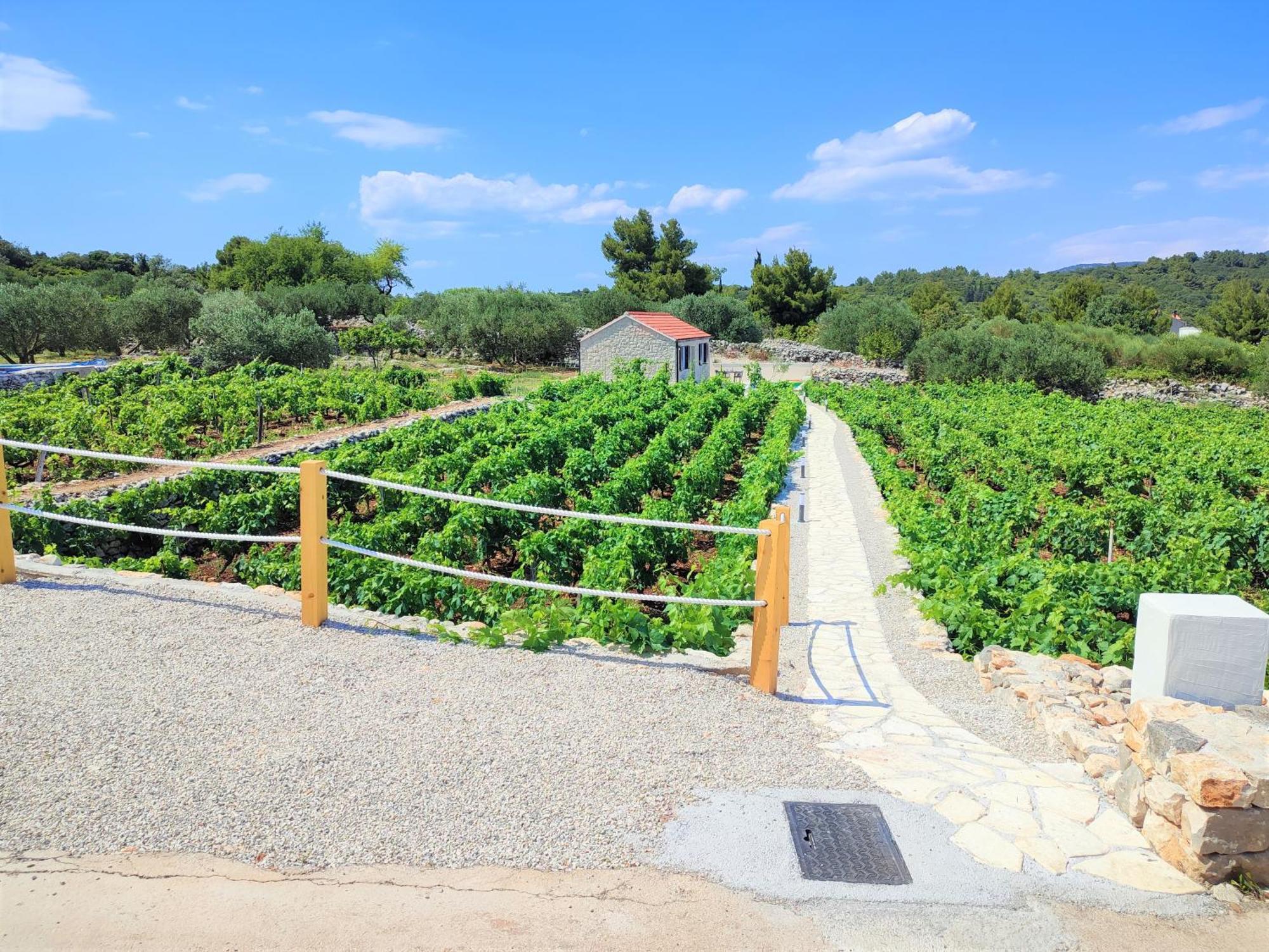 Willa Stone House In Vineyard Račišće Zewnętrze zdjęcie