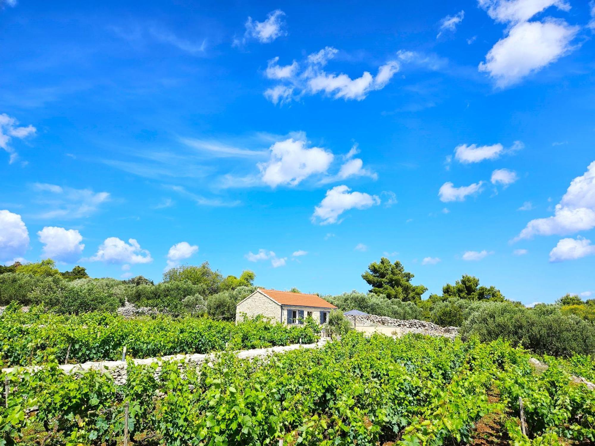 Willa Stone House In Vineyard Račišće Zewnętrze zdjęcie