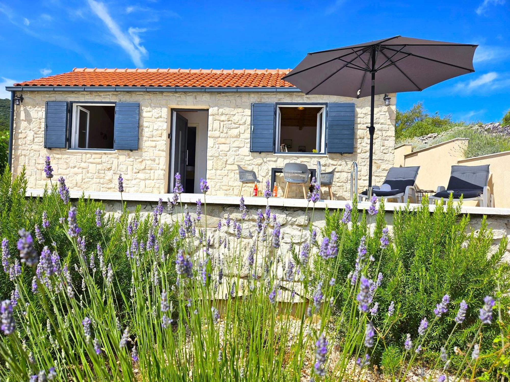 Willa Stone House In Vineyard Račišće Zewnętrze zdjęcie