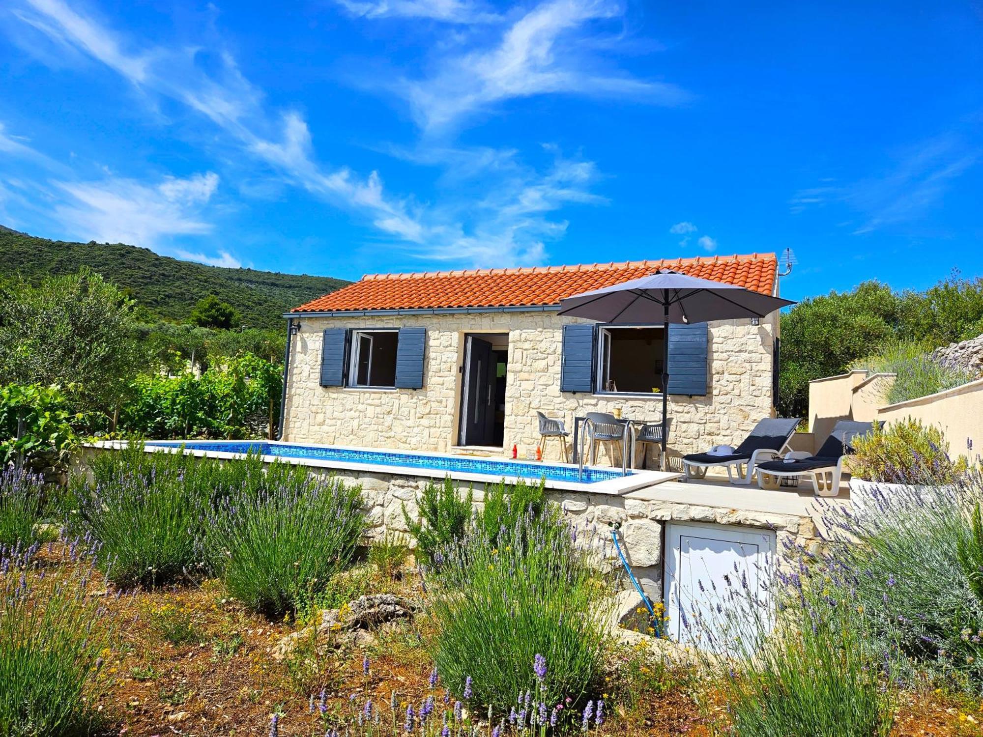 Willa Stone House In Vineyard Račišće Zewnętrze zdjęcie