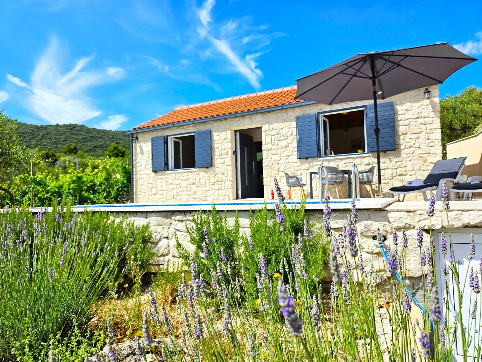 Willa Stone House In Vineyard Račišće Zewnętrze zdjęcie